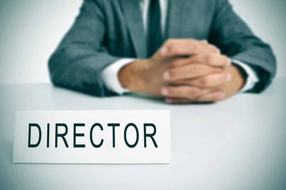 Difference between a director and a shareholder in limited company (Ltd)