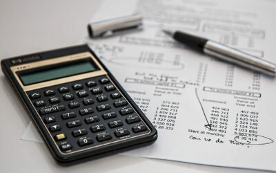 PAYE (Pay As You Earn) – czym jest i jak działa system odprowadzania zaliczek na podatek dochodowy?